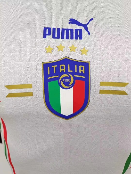 Italy 2022 World Cup Away Soccer Jersey(Player)